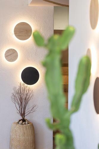 Cactopia Apartments - Euphorbia Milii Apartment