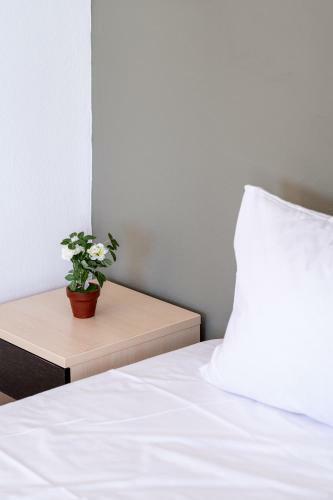 Majorelle Apartments