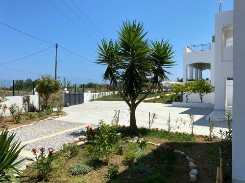 Majorelle Apartments