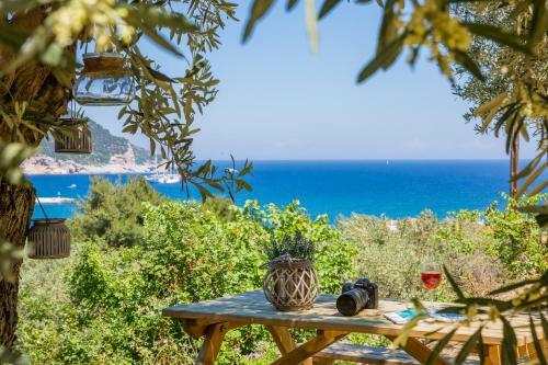 Olive Grove Apartment