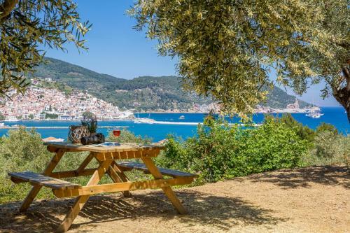 Olive Grove Apartment
