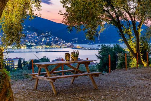 Olive Grove Apartment