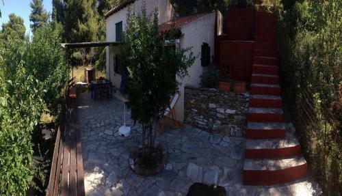 Cottage In Wildnes Of Island Nature