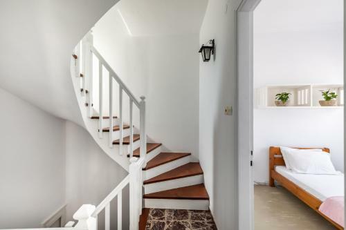 The Downtown Apartment