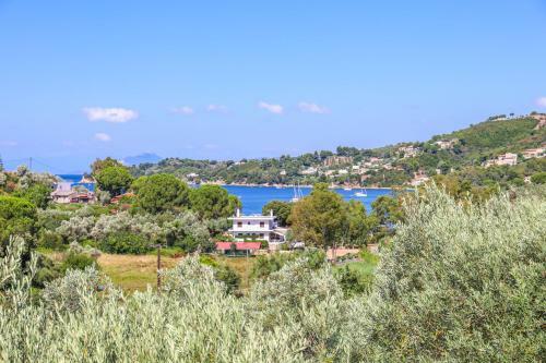 Hotel Pandora Studios Skiathos