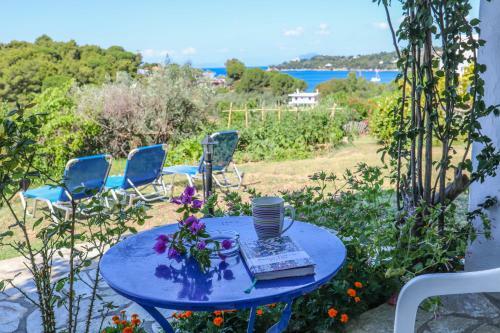 Hotel Pandora Studios Skiathos
