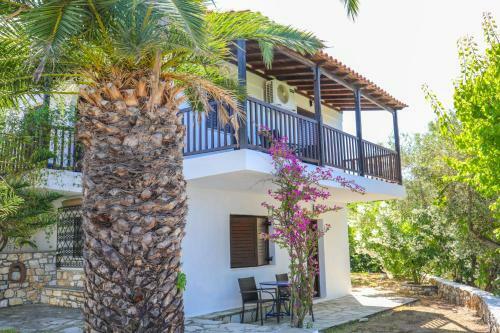 Hotel Pandora Studios Skiathos