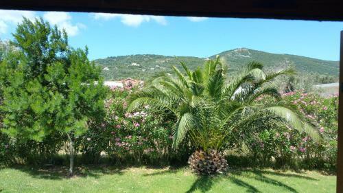 Villa Barefoot Cottage