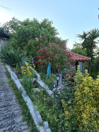 Captain's Villa