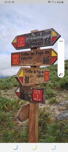 Alibaba Do Ger�s