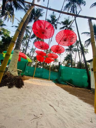 Beach Camping Alibag-revdanda