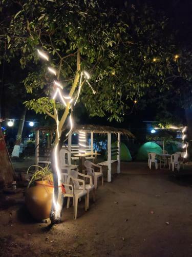 Bed & Breakfast Shreesavali Cottage