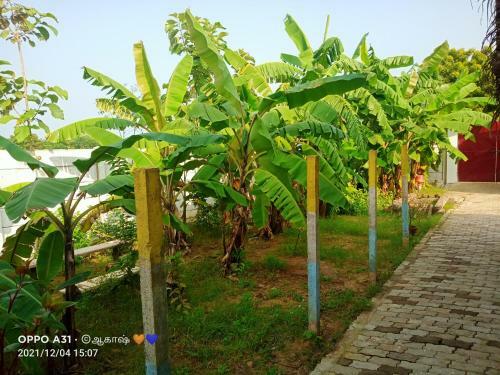 Hostal Jenambeachcottages