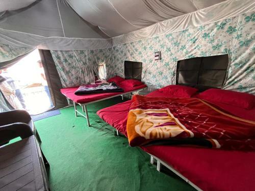Camps In Rishikesh By Pt