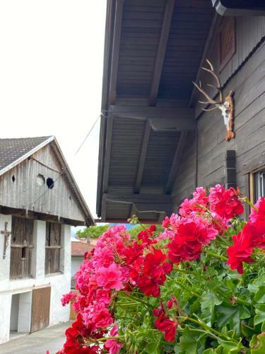 Apartamento Ferienwohnung Dolomiten