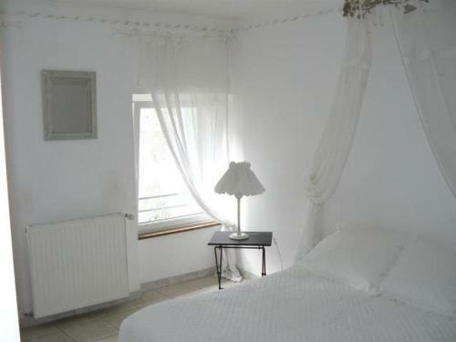 Hotel H�tel Le Globe