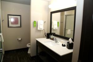 Posada Hampton Inn Pearsall