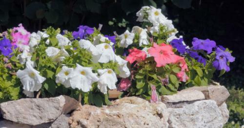 Hostal Podere Fonternaccia