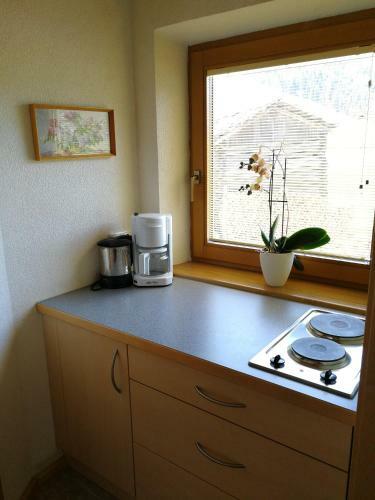 Apartamento Haus Holzer