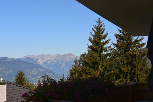 Apartment Panorama