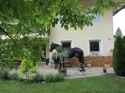 Apartamento Hochzillertalblick