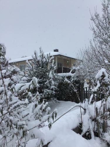 Apartamento Hochzillertalblick