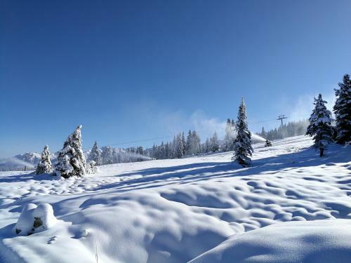 Falkensteinalm Hochkrimml