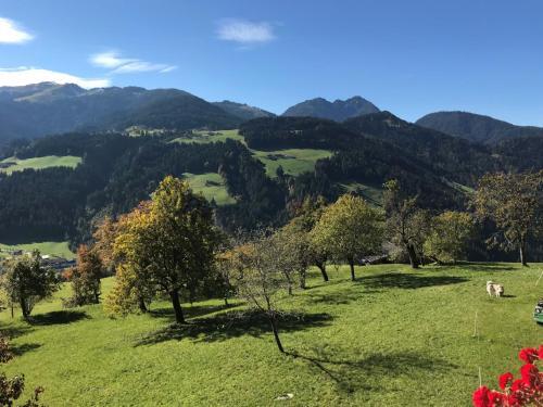 Chalet Feldkasten