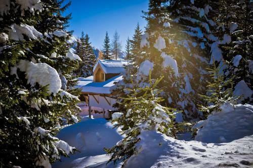 Chalet Zillertal Arena