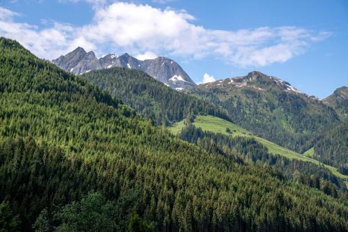 Hostal Pension Alpengruss