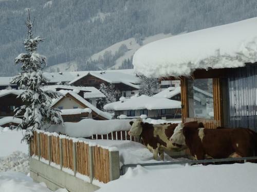 Hostal Pension Schusterhof