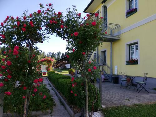 Agroturismo Erlebnisbauernhof Steinerhof