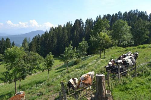 Agroturismo Erlebnisbauernhof Steinerhof
