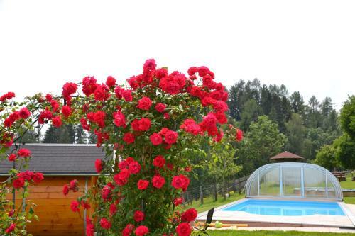 Agroturismo Erlebnisbauernhof Steinerhof