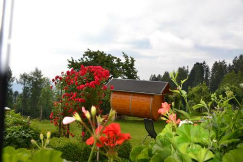 Agroturismo Erlebnisbauernhof Steinerhof