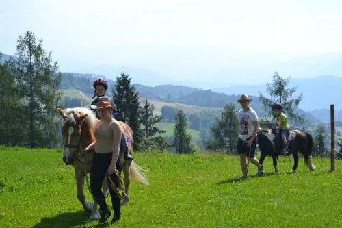 Agroturismo Erlebnisbauernhof Steinerhof