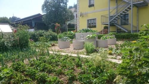 Agroturismo Erlebnisbauernhof Steinerhof