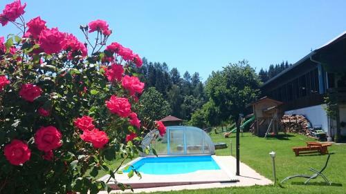 Agroturismo Erlebnisbauernhof Steinerhof