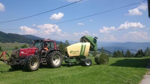 Agroturismo Erlebnisbauernhof Steinerhof