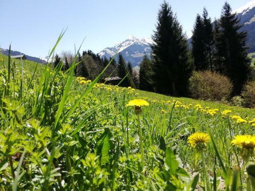 Apartamento Appartement Moaeben - Panorama