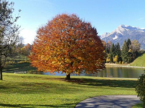 Apartamento Appartement Moaeben