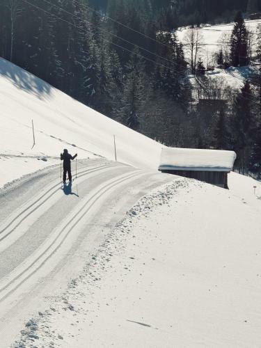 Apartamento Alpbach Loft