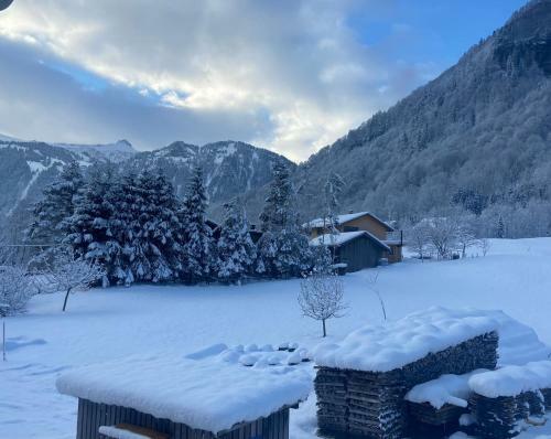 Apartment Klausbr�cke