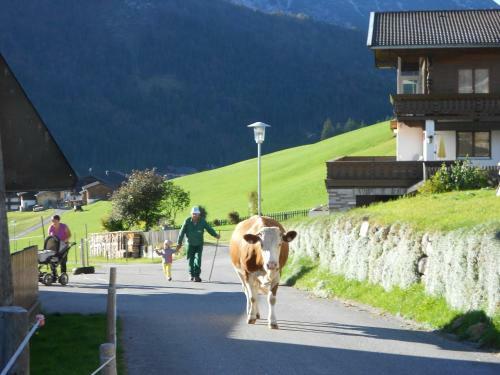 Bed & Breakfast Haus Panorama
