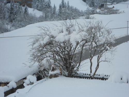 Bed & Breakfast Haus Panorama