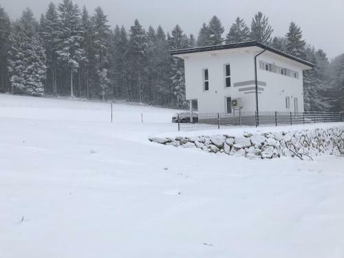 Ferienhaus Grobauer II