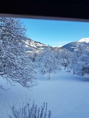 Montafon Alpen Chalet