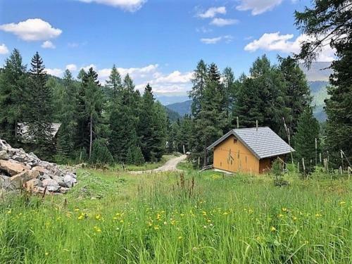 Haus Vlietl�nder