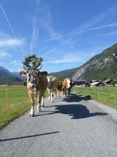 Agroturismo Ferienbauernhof Wendlshof