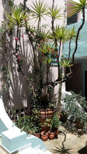 Apartamento Hotel Kleopatra